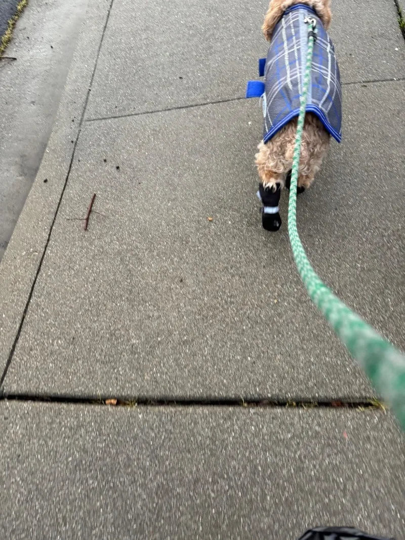 Winter Dog Shoes Waterproof Walking Big Small Dog Shoes Warm Adjustable Elasticity Schnauzer Foot Cover Teddy Pets Supplies