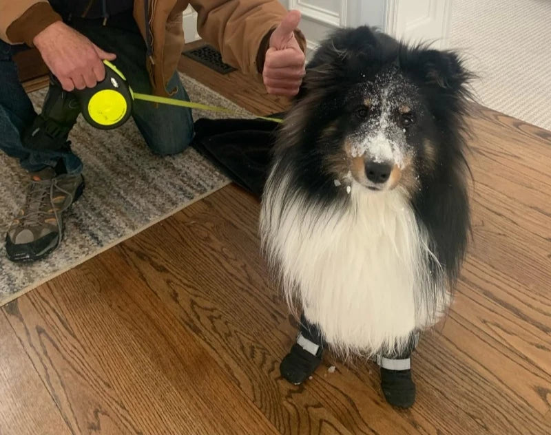 Winter Dog Shoes Waterproof Walking Big Small Dog Shoes Warm Adjustable Elasticity Schnauzer Foot Cover Teddy Pets Supplies