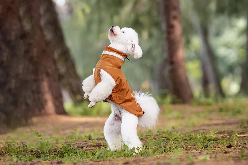 Teddy Schnauzer Dog Raincoat With Anti Adhesive Velcro And Reflective Strape Pet Outdoor Small Medium Hoodie Pets Raincoat