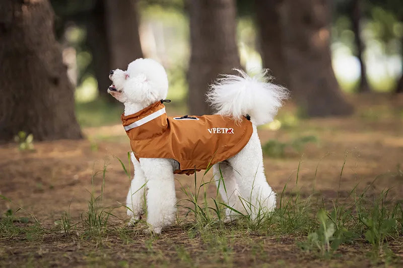 Teddy Schnauzer Dog Raincoat With Anti Adhesive Velcro And Reflective Strape Pet Outdoor Small Medium Hoodie Pets Raincoat