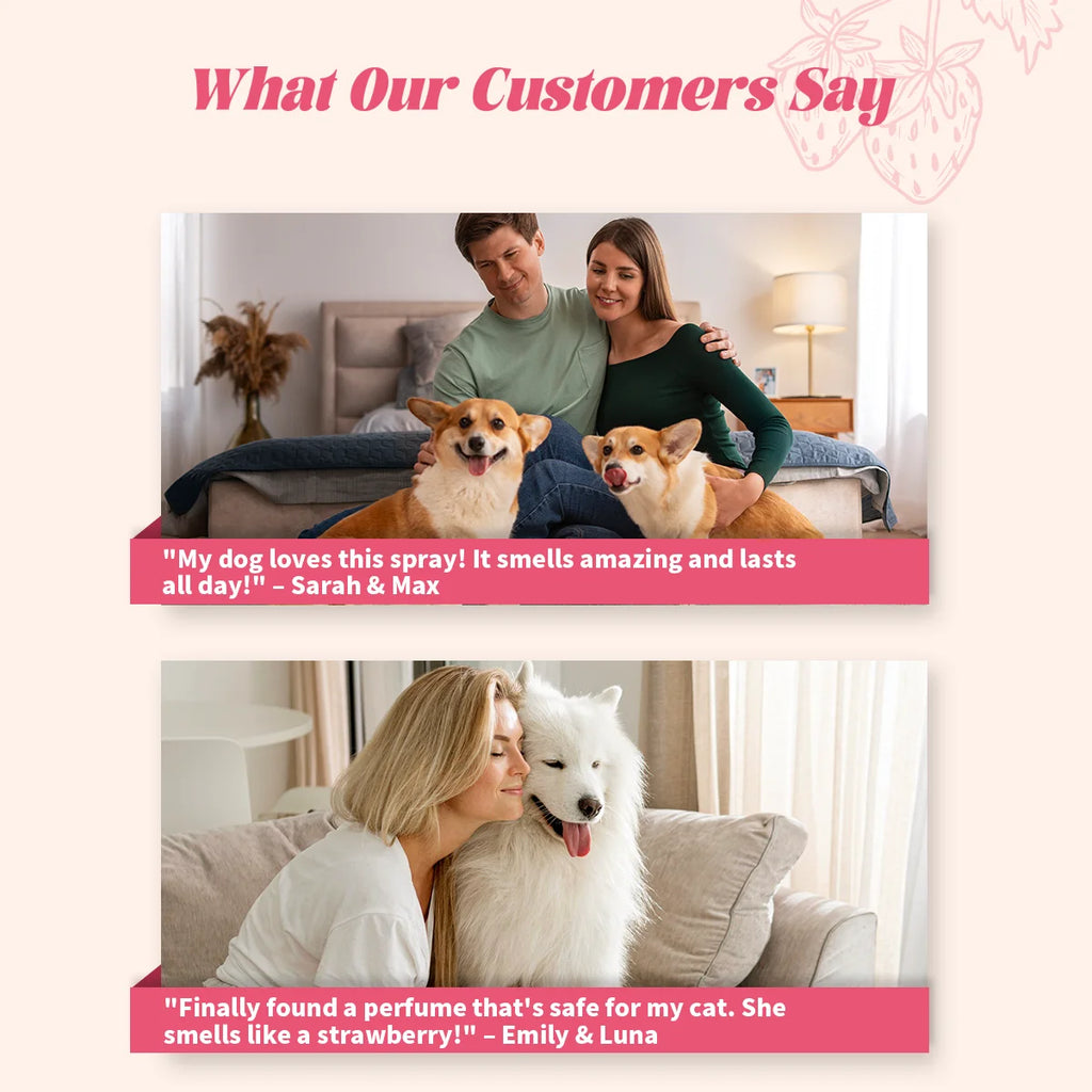Pet Perfume Spray 100ml Sweet Strawberry Scent Long-Lasting Fragrance Alcohol-Free Odor Eliminator Non-Irritating Pet Body Odor
